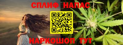 прущие грибы Краснокаменск